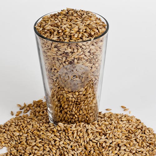 Czech Bohemian Pilsner Malt