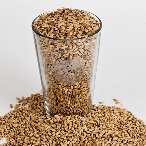 German Pilsner-Malted Barley