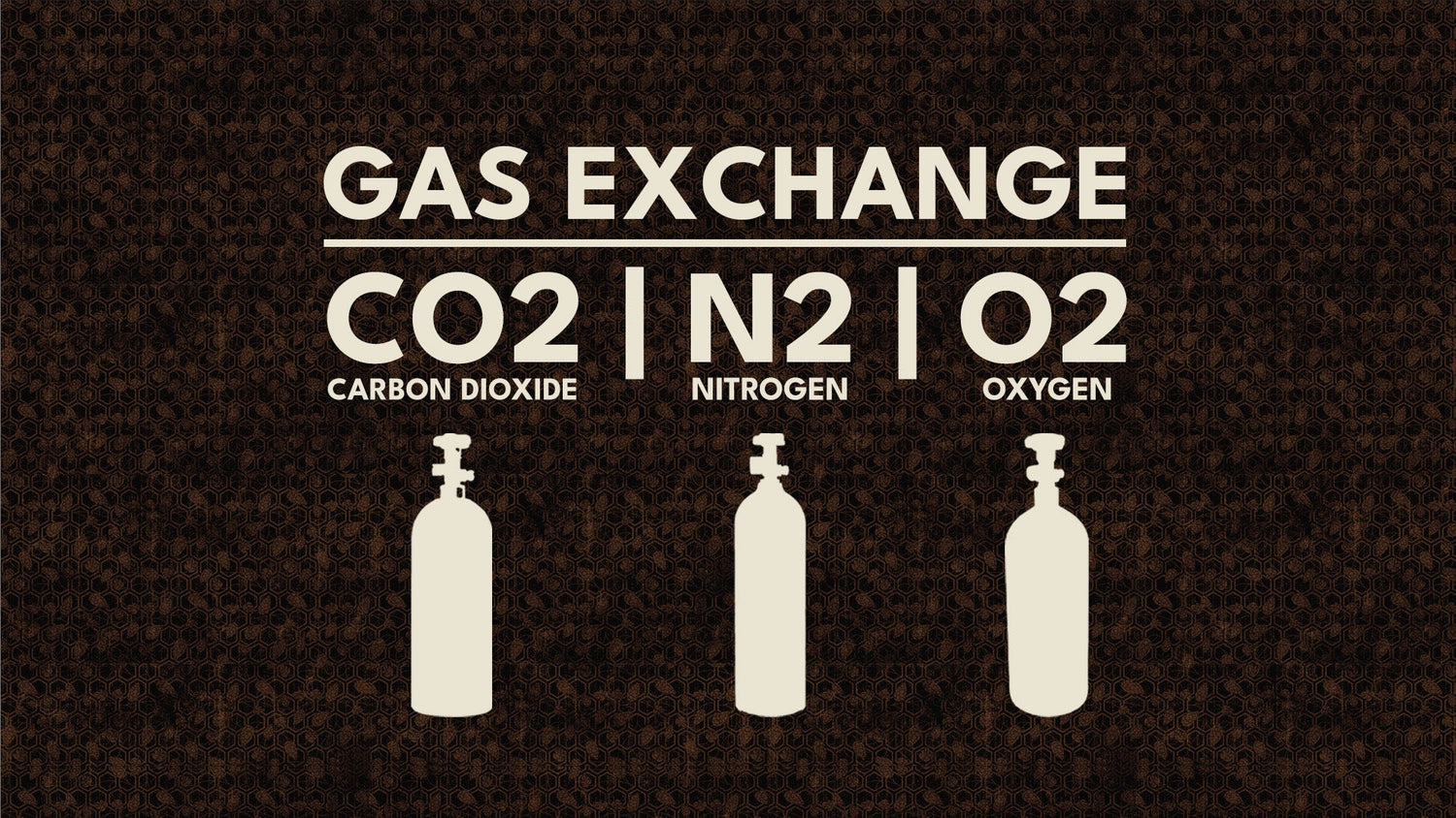 CO2 | Nitrogen | Oxygen Tanks-Bitter &amp; Esters