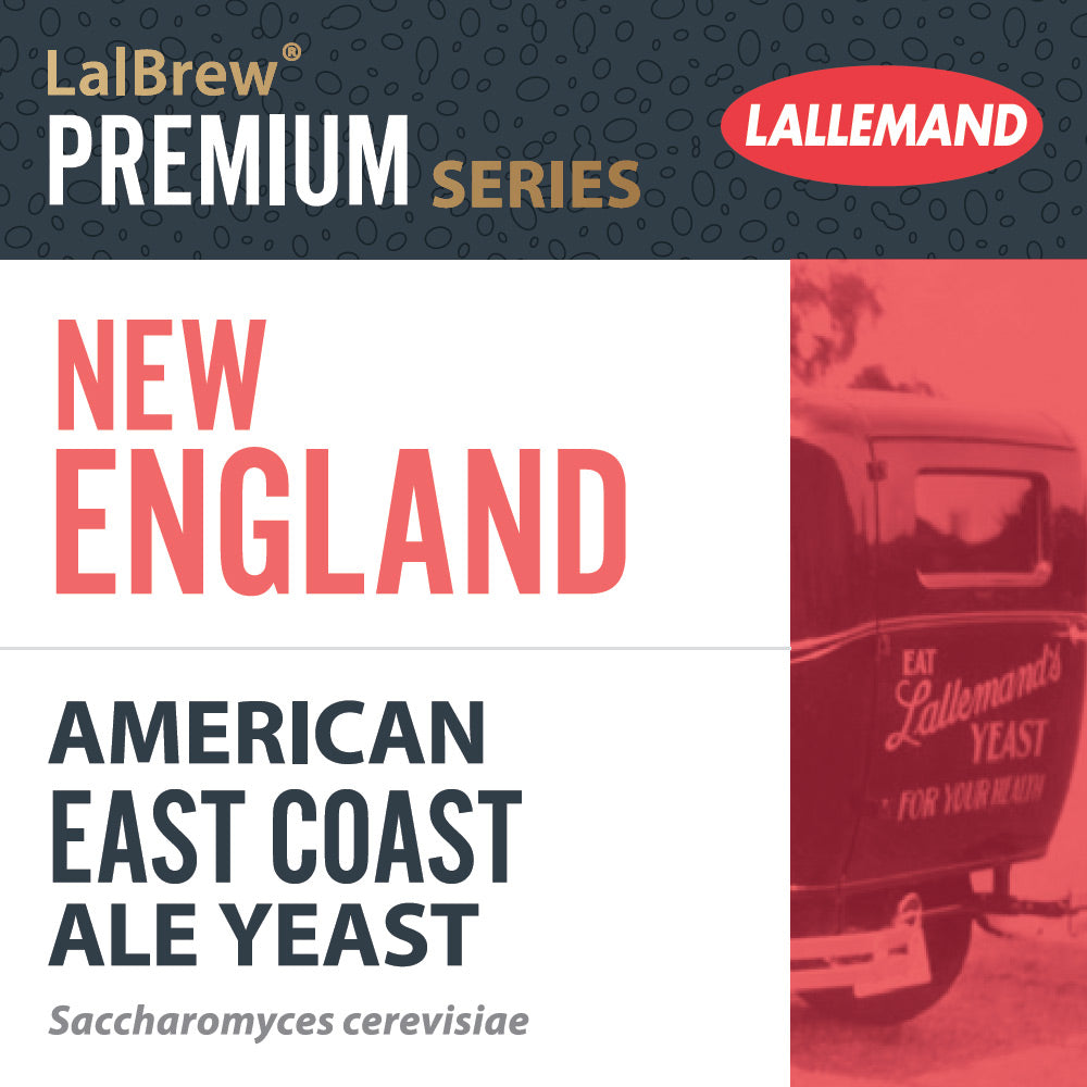New England East Coast Dry Ale Yeast - Lallemand