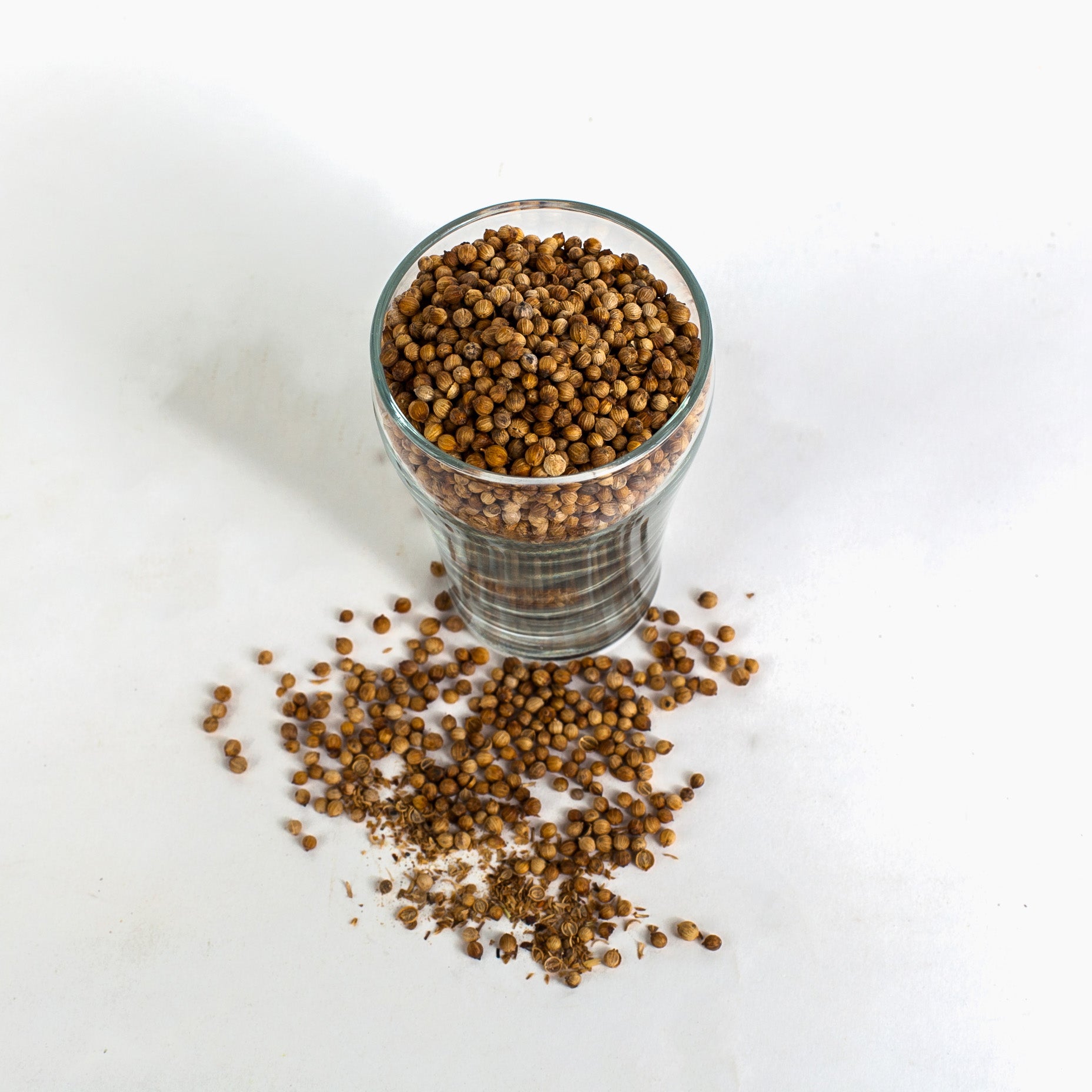 Coriander Seed - 1oz