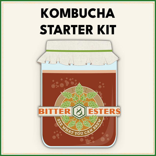Kombucha Starter Kit
