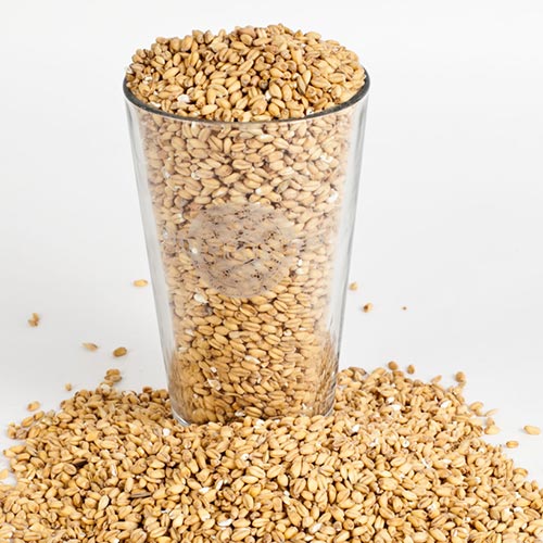 Spelt Malt-Adjunct