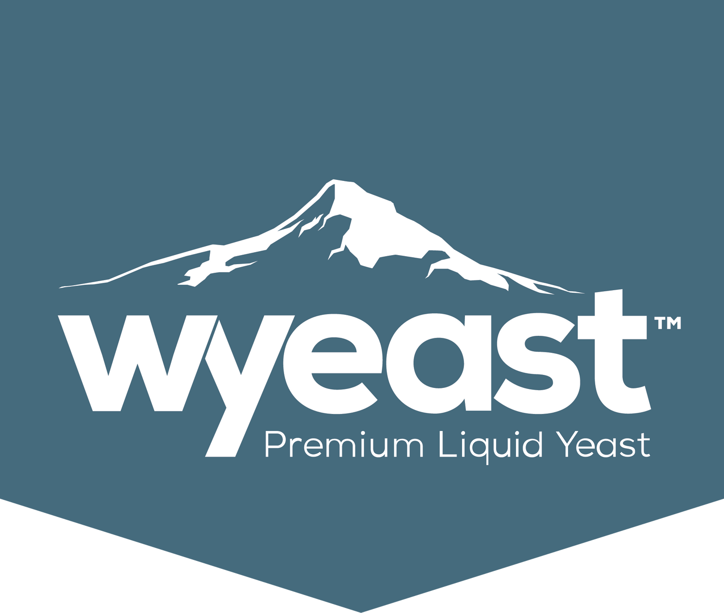 American Wheat - Wyeast (1010)-Yeast