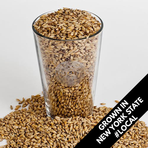 Unmalted Barley (NYS)